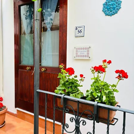 Apartmán Paradise *