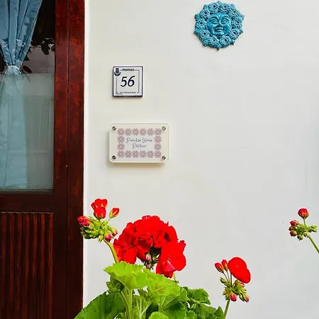 Paradise 波西塔諾