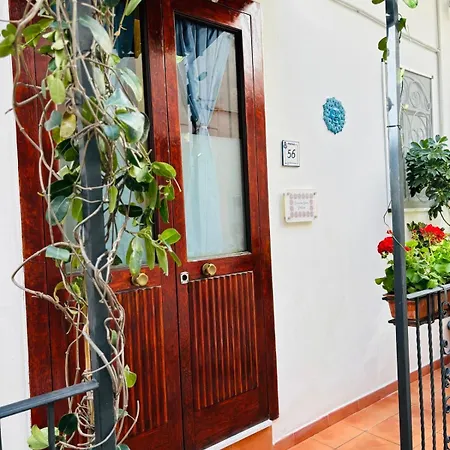 Paradise Apartment