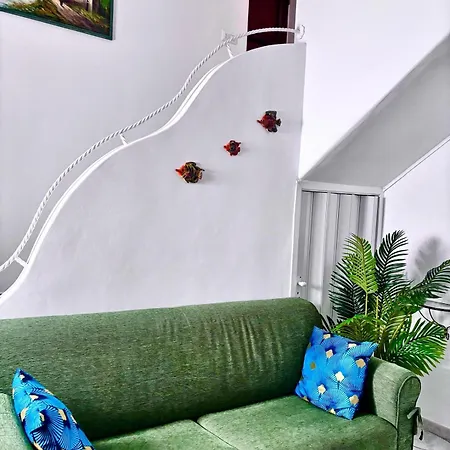 Apartment Paradise